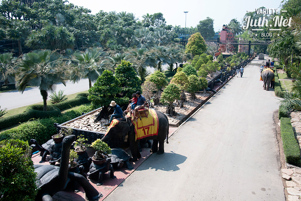 ช้าง