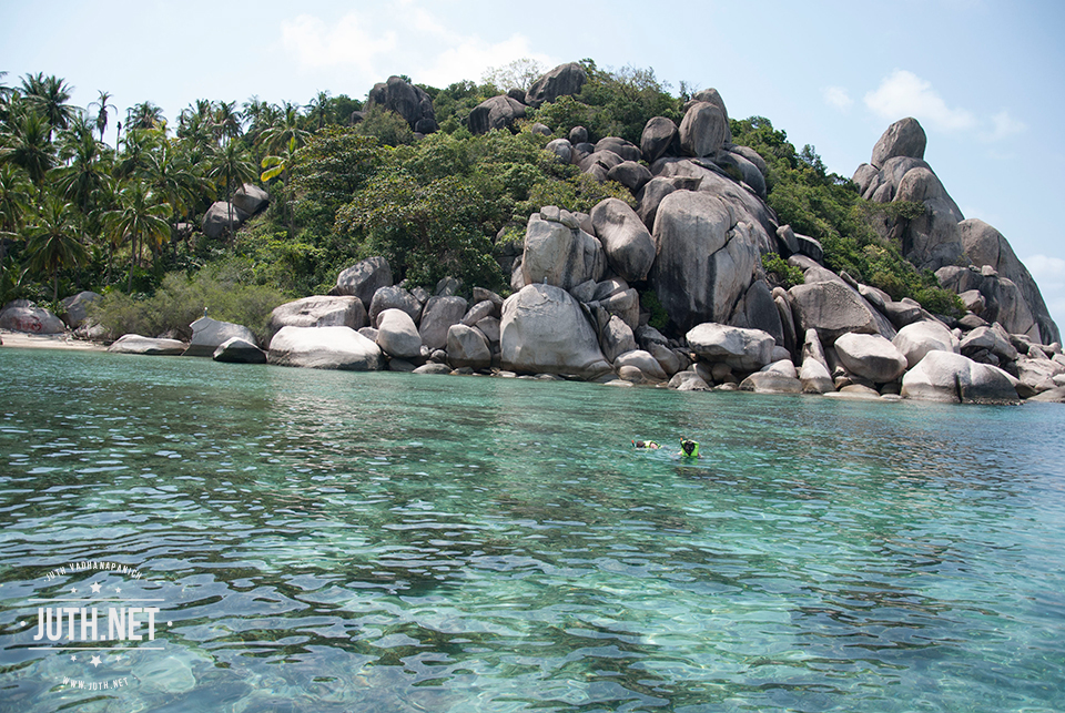 Snorkel ที่เกาะเต่า