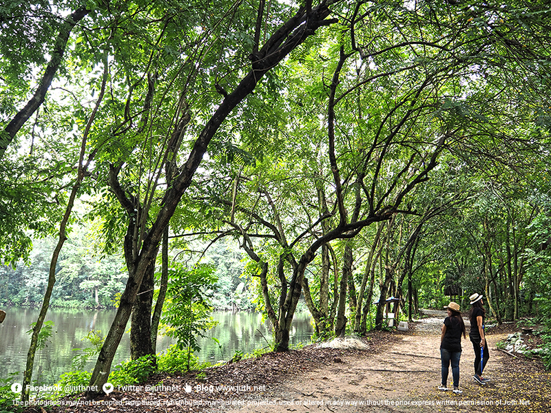 ภายในบริเวณศูนย์กสิกรรมธรรมชาติมาบเอื้อง