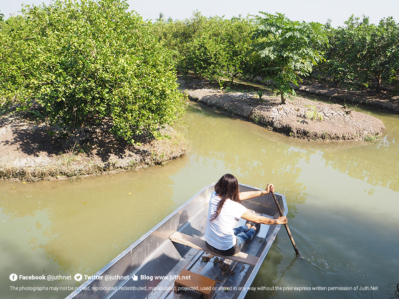 ตูนลองไปพายเรือ